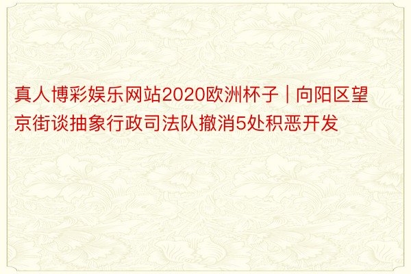 真人博彩娱乐网站2020欧洲杯子 | 向阳区望京街谈抽象行政司法队撤消5处积恶开发