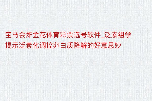 宝马会炸金花体育彩票选号软件_泛素组学揭示泛素化调控卵白质降解的好意思妙