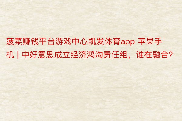菠菜赚钱平台游戏中心凯发体育app 苹果手机 | 中好意思成立经济鸿沟责任组，谁在融合？